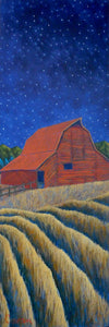 A Starlit Barn